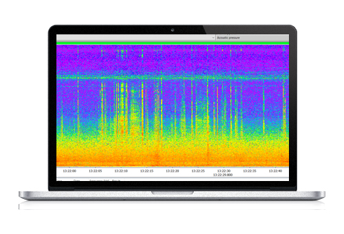 SF977_4 - License of FFT analysis for SVAN 977